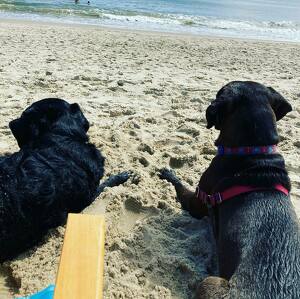 Fundraising Page: Meghan Walls